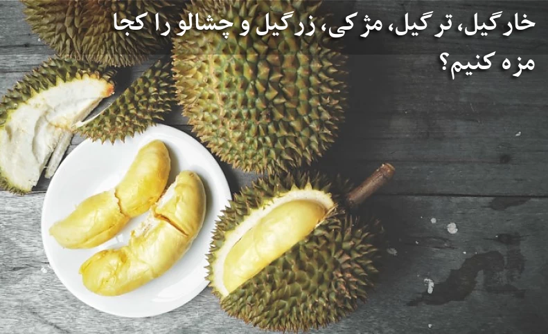 خارگیل، ترگیل، مژکی، زرگیل و چشالو را کجا مزه کنیم؟ مالزی؛ سفر به سرزمین خوراکی‌های عجیب